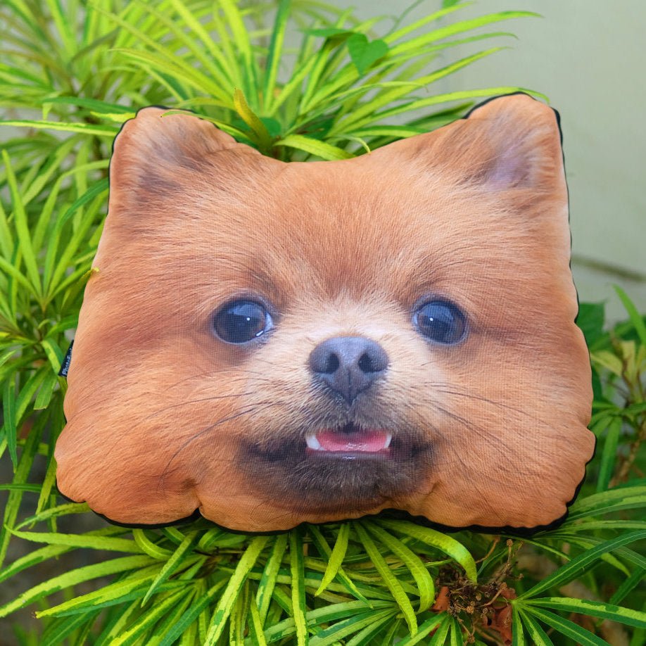 Your Pet's Head As a PillowCustomly Gifts