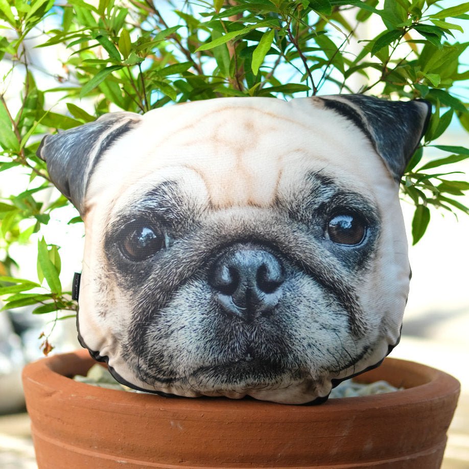 Your Pet's Head As a PillowCustomly Gifts