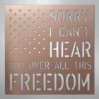 All This Freedom - Steel Metal Sign Wall ArtCustomly Gifts