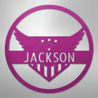 Attacking Eagle Personalized Steel Metal Sign Wall ArtCustomly Gifts