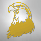 Bald Eagle Head - Steel Metal Sign Wall ArtCustomly Gifts