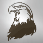 Bald Eagle Head - Steel Metal Sign Wall ArtCustomly Gifts