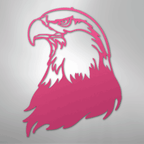 Bald Eagle Head - Steel Metal Sign Wall ArtCustomly Gifts