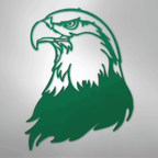 Bald Eagle Head - Steel Metal Sign Wall ArtCustomly Gifts