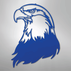 Bald Eagle Head - Steel Metal Sign Wall ArtCustomly Gifts