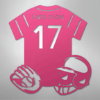Baseball Gear Personalized Name Number Steel Metal Sign Wall ArtCustomly Gifts