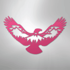 Eagle Scene Steel Metal Wall ArtCustomly Gifts