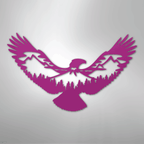 Eagle Scene Steel Metal Wall ArtCustomly Gifts