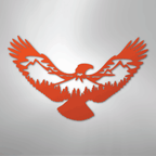 Eagle Scene Steel Metal Wall ArtCustomly Gifts