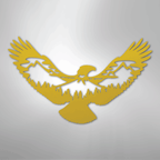 Eagle Scene Steel Metal Wall ArtCustomly Gifts