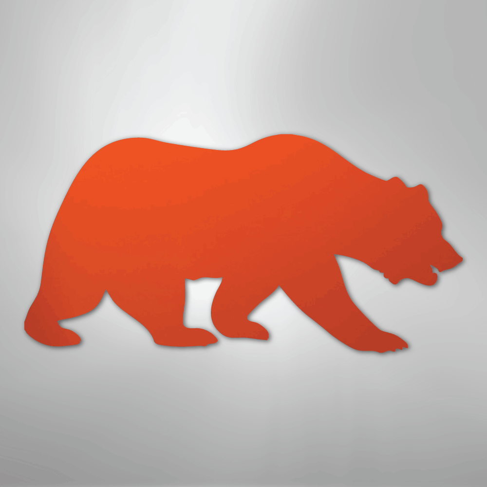Grizzly Bear - Steel Metal Sign Wall ArtCustomly Gifts