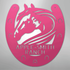 Horse Owner Personalized Steel Metal Sign Wall ArtCustomly Gifts