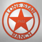 Lone Star 2 Personalized Steel Metal Sign Wall ArtCustomly Gifts