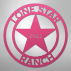 Lone Star 2 Personalized Steel Metal Sign Wall ArtCustomly Gifts
