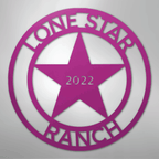 Lone Star 2 Personalized Steel Metal Sign Wall ArtCustomly Gifts
