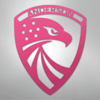 Modern Eagle Personalized Steel Metal Sign Wall ArtCustomly Gifts