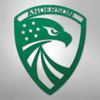 Modern Eagle Personalized Steel Metal Sign Wall ArtCustomly Gifts