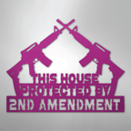 Protected by 2nd Amendment - Steel Metal Sign Wall ArtCustomly Gifts