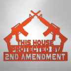 Protected by 2nd Amendment - Steel Metal Sign Wall ArtCustomly Gifts