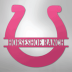 Simple Horseshoe Personalized Steel Metal Sign Wall ArtCustomly Gifts