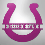 Simple Horseshoe Personalized Steel Metal Sign Wall ArtCustomly Gifts