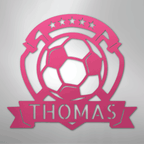 Soccer Plaque Personalized Steel Metal Sign Wall ArtCustomly Gifts