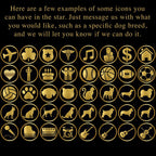 Star of Fame Personalized CanvasCustomly Gifts