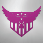 Swooping Eagle - Steel Metal Sign Wall ArtCustomly Gifts
