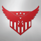 Swooping Eagle - Steel Metal Sign Wall ArtCustomly Gifts