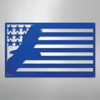 USA Eagle - Steel Metal Sign Wall ArtCustomly Gifts