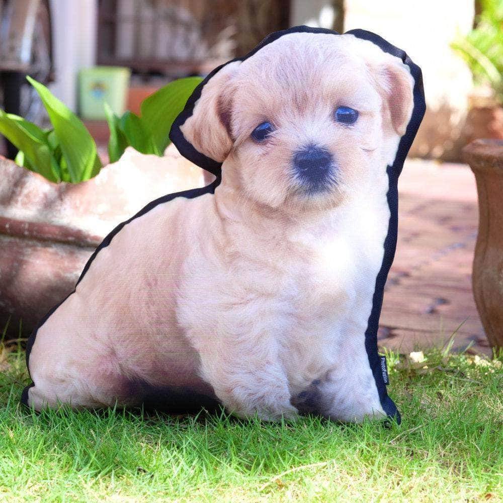 Your Pet As a Custom Photo PillowCustomly Gifts