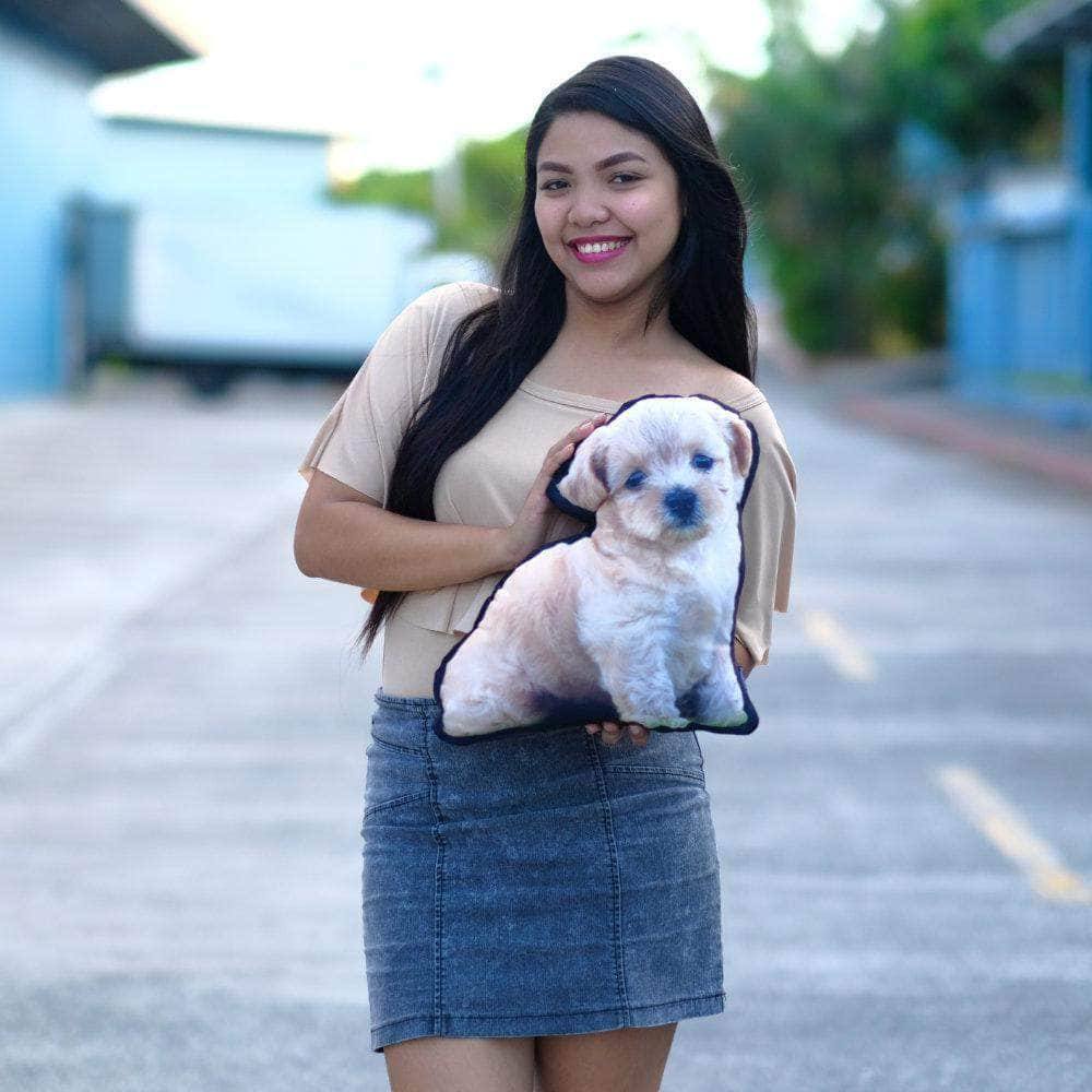 Your Pet As a Custom Photo PillowCustomly Gifts