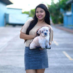 Your Pet As a Custom Photo PillowCustomly Gifts