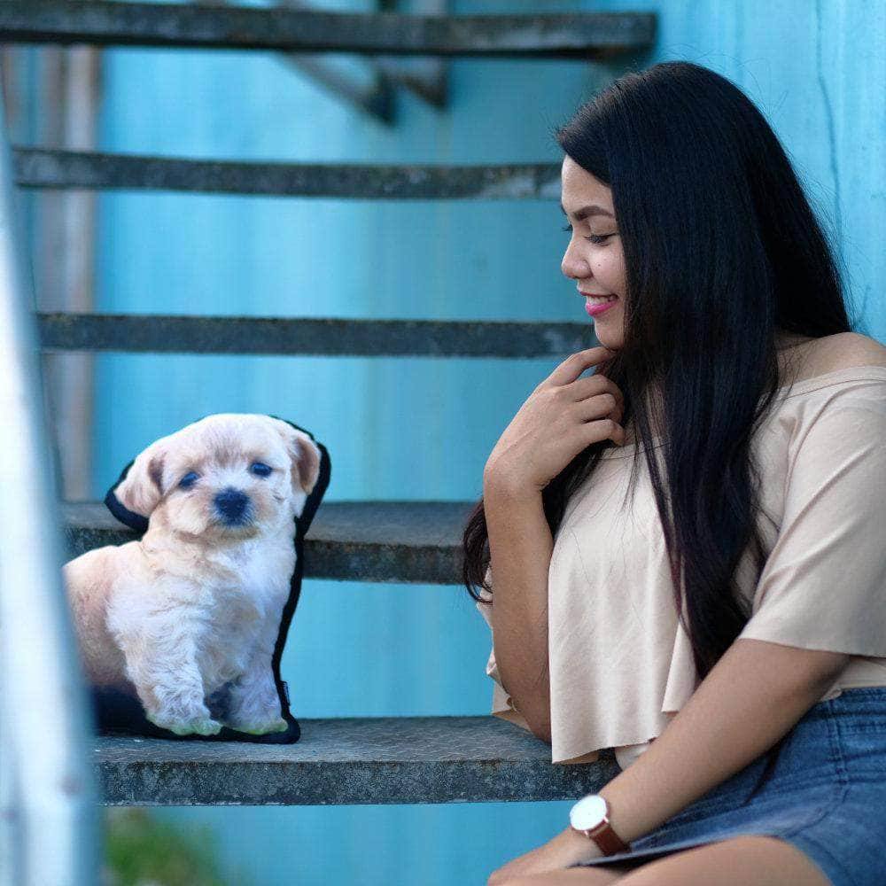 Your Pet As a Custom Photo PillowCustomly Gifts