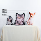 Your Pet's Head As a PillowCustomly Gifts